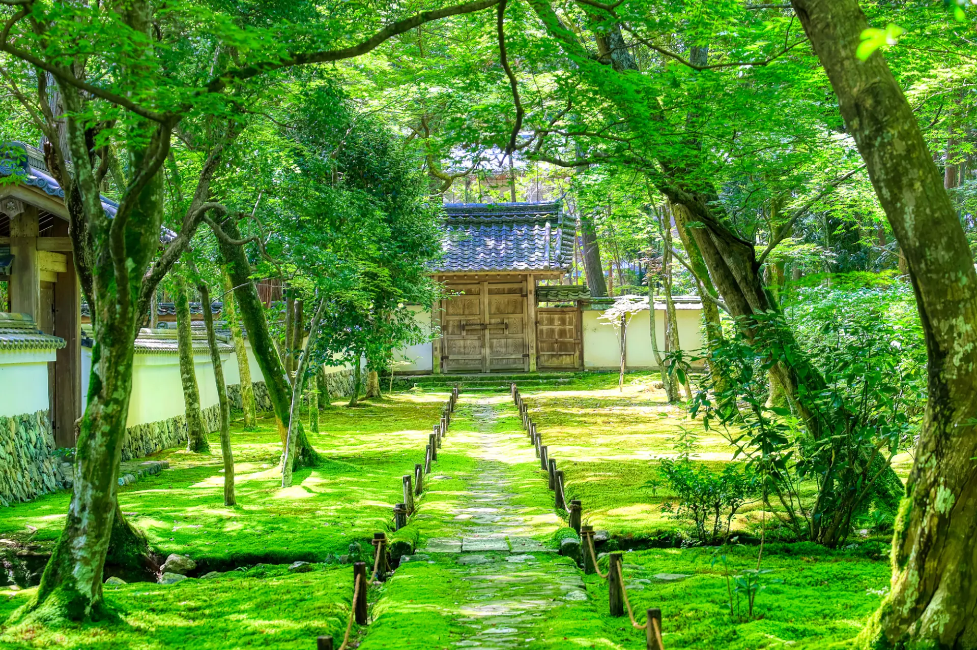 約120種類の苔が覆う美しい庭園が広がる寺院