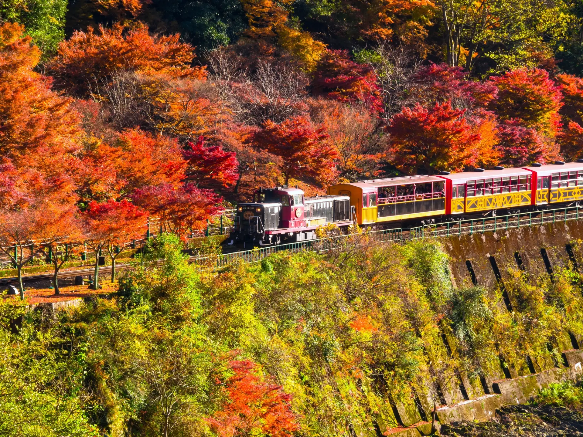 色鮮やかな渓谷を走る嵯峨野トロッコ列車