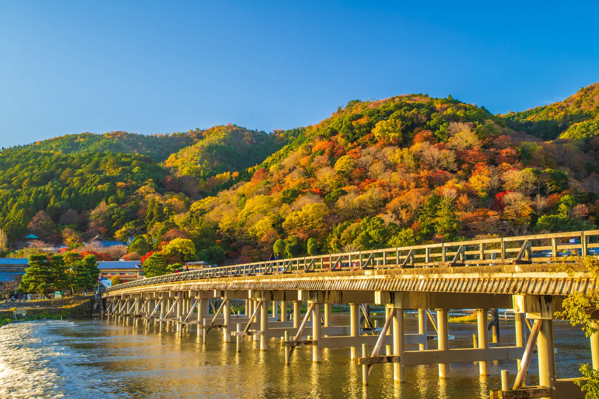紅葉に染まる嵐山