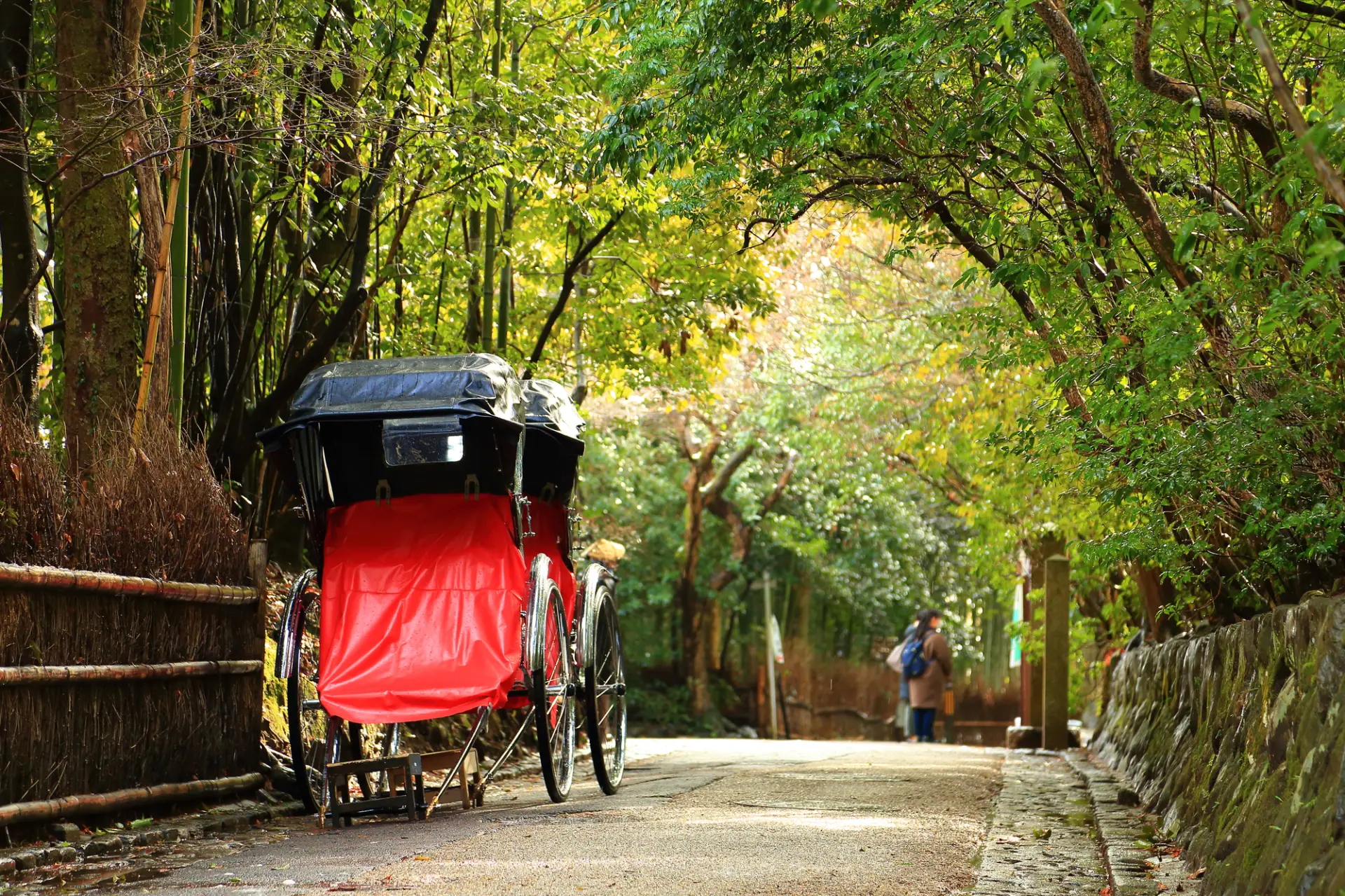 徒歩とは異なる人力車の視点からゆっくり嵐山の景色を楽しもう
