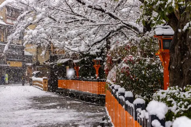 The sight of snow gently blanketing Kyoto’s charming, traditional streets is truly beautiful.