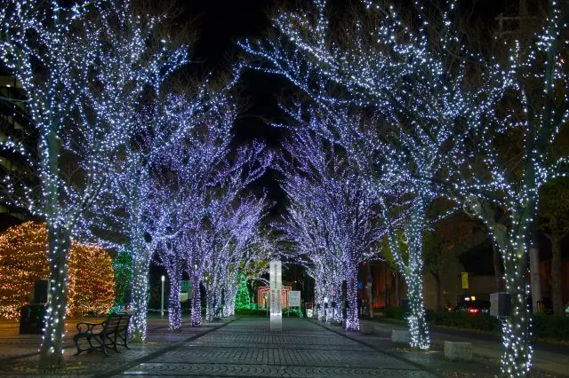 イルミネーションの定番とも言える光景をゆっくり楽しもう