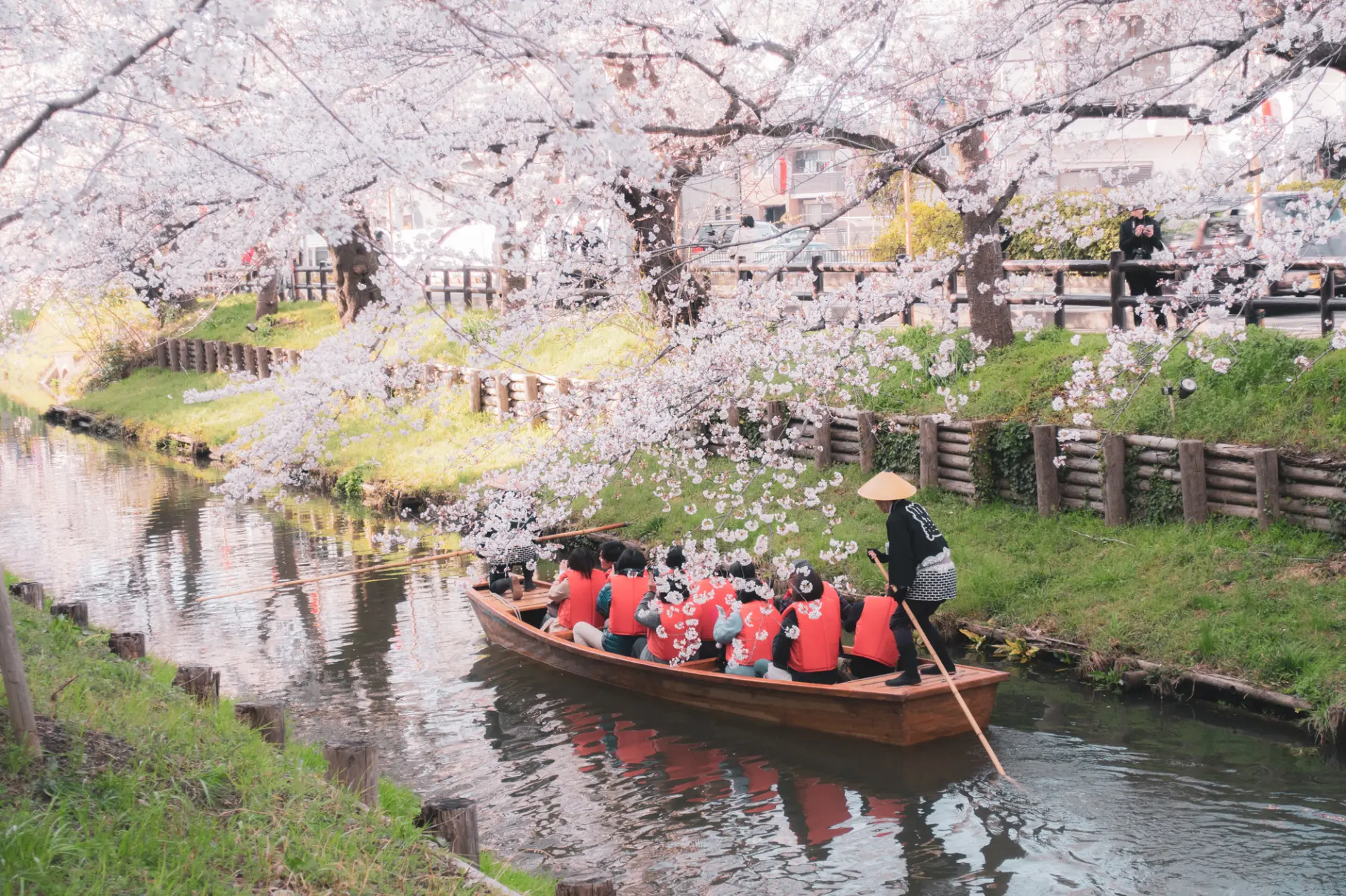 桜並木に包まれた川で楽しむ約10分間の船旅
