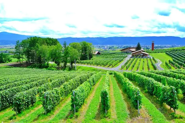 富良野以其豐富多元的自然景觀而聞名