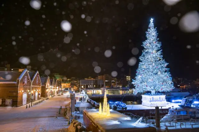 クリスマスムードに包まれた「はこだてクリスマスファンタジー」