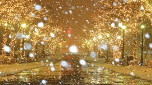 北海道のイルミネーションイベント10選！雪と光が生み出す幻想的な絶景