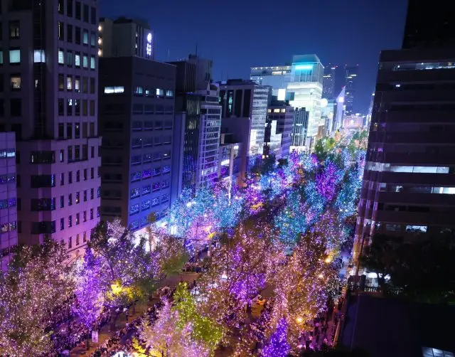 輝く未来へつなぐ光のシンボルストリート