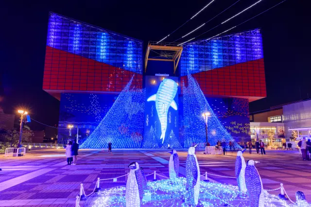 水族館ならではのイルミネーションを満喫しよう