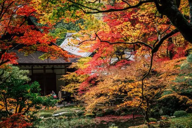 One of the most famous Zen temples in Kyoto, founded by Emperor Kameyama.