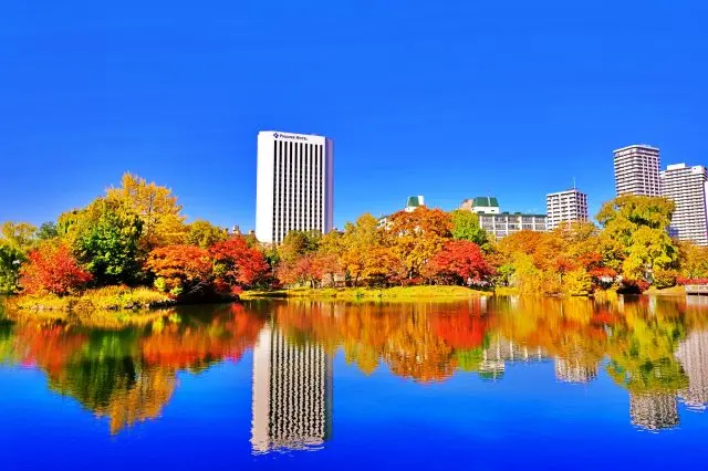 都会的な背景で紅葉を楽しめる
