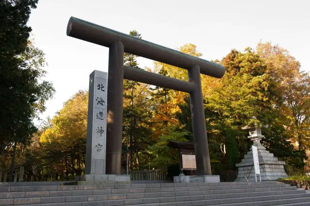 鳥居の先に黄金色のイチョウ並木が続く表参道