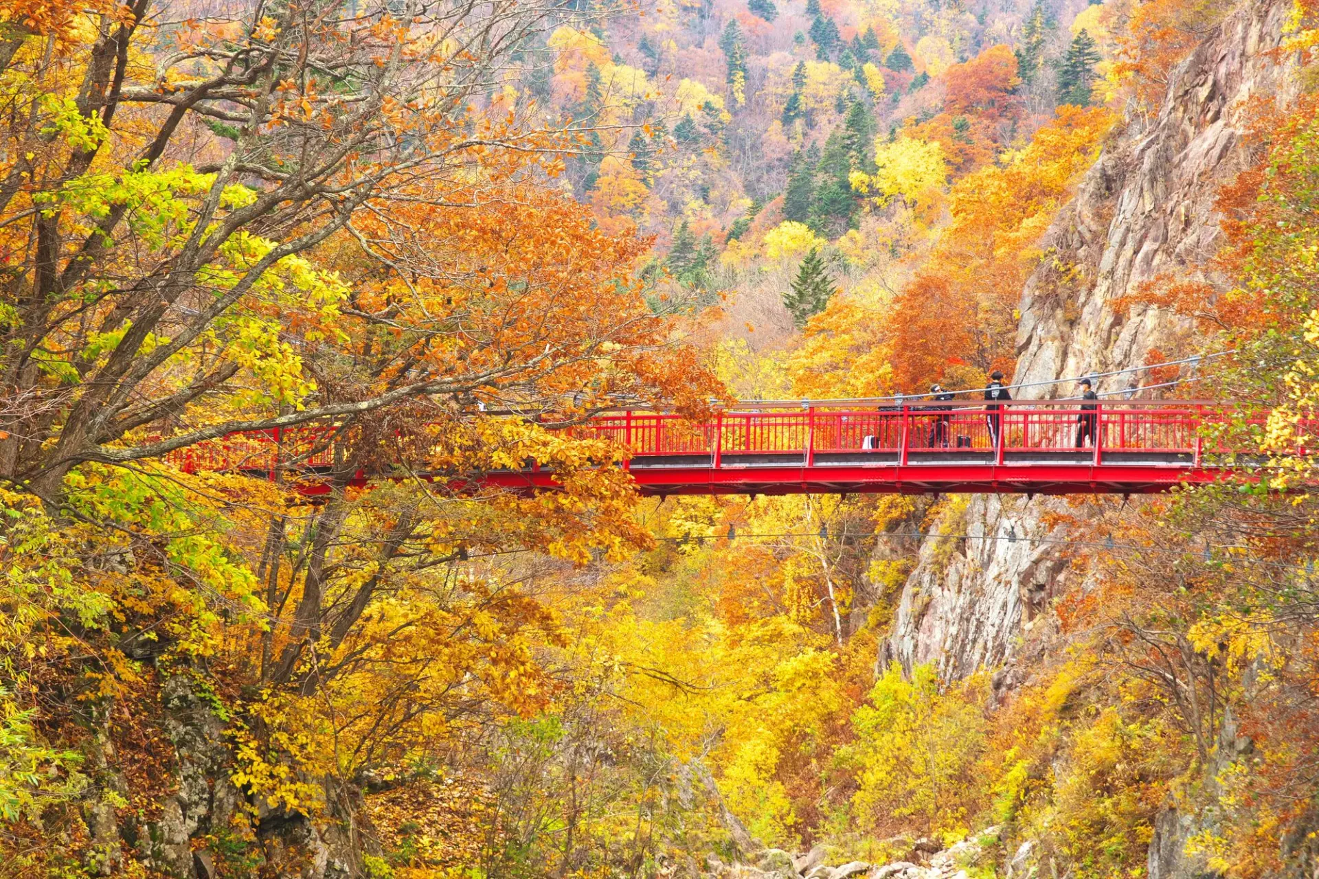 定山溪數一數二的賞楓景點「二見吊橋」