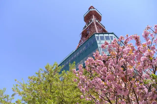 札幌賞櫻指南