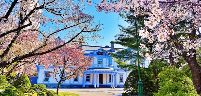 櫻花&豐平館（札幌中島公園）