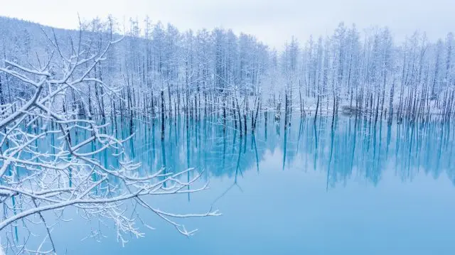【白金青池完整指南】必看重點&週邊景點一篇掌握！