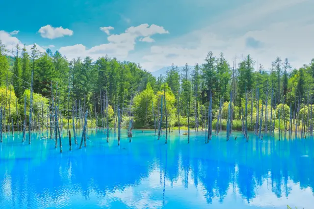 如畫般壯麗的湖面與環繞其間的自然景觀，堪稱代表北海道的絕景之一