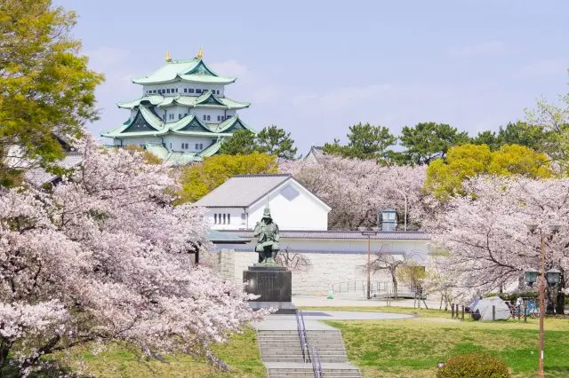 從不同角度欣賞氣勢雄偉的名古屋城與櫻花同框的景色
