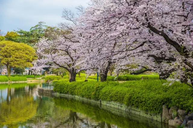 園區內有許多拍照的絕佳景點，不妨邊打卡邊賞花