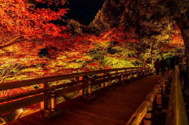 【名古屋賞楓完整指南】名古屋紅葉景點一篇掌握！