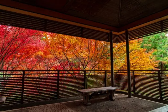 在許多景點都能欣賞到日本秋天獨有的優雅風景