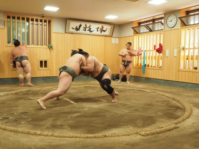 Journey to Experience Sumo Culture in Sumida Ward, Tokyo – Sumo Stable Morning Practice Viewing Edition