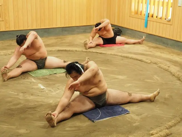 Stretching routine for flexibility, an additional must for sumo wrestlers.