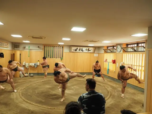 Astounded as wrestlers performing shiko (classic leg stomping move) together.