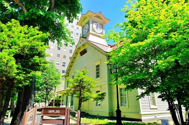 夏天的札幌市時計台。白色外牆和茂密的綠色林木對比下的景色十分清爽