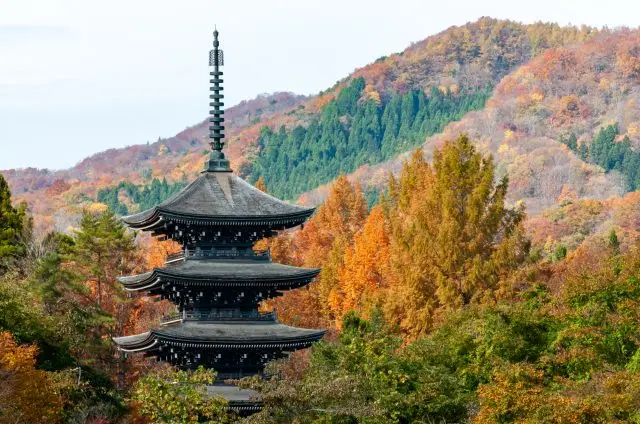 【仙台賞楓完整指南】仙台紅葉景點一篇掌握！