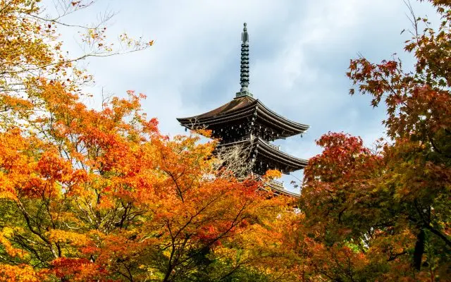 五重塔和紅葉交相輝映的優雅畫面