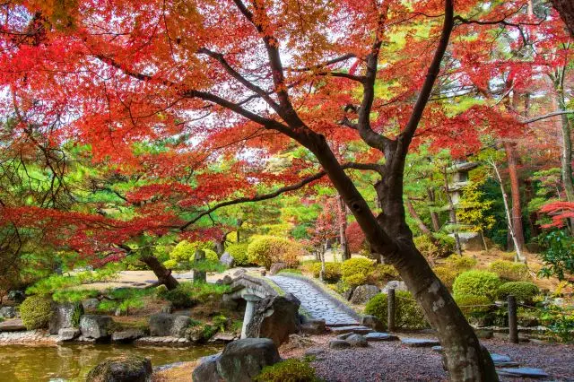 建議在寺院內散步，感受一下充滿日本風情的獨特氛圍