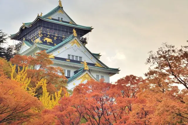 秋天來大阪觀光，一定要去看看紅葉與大阪城同框的美景
