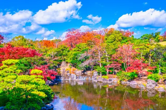 從色彩斑斕的秋景中感受到充滿日式風情的「侘寂」之美