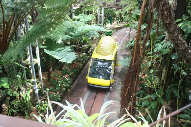 The Pineapple Cart is a great way to get around the park.