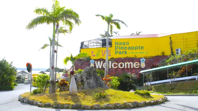 Enjoy Everything Pineapple! A Guide to Enjoying Nago Pineapple Park