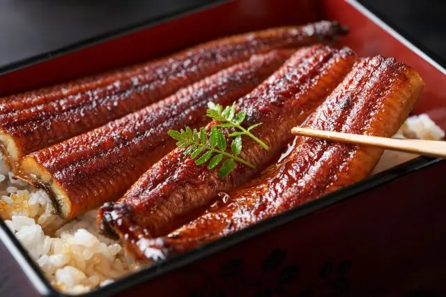 第一餐吃鳗鱼，为即将开始的特别旅行补充体力