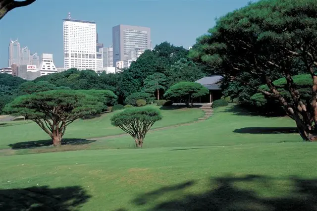 Find solace in three distinctly gorgeous gardens! The handy guide to Shinjuku Gyoen National Garden.