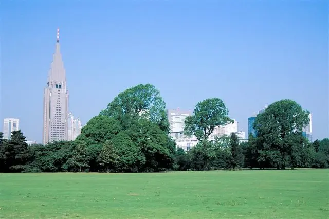An urban oasis to so many in the Tokyo metropolis every day.