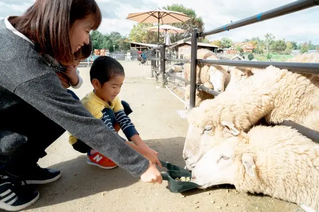 自然環境富饒的體驗型農場公園。遊客可在此欣賞各種花卉，還可與園內的小動物互動