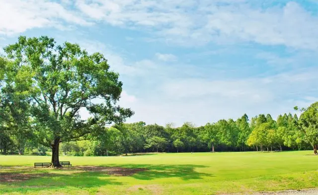 利用1970年日本萬國博覽會的基地所建，地標是由岡本太郎所設計的「太陽之塔」