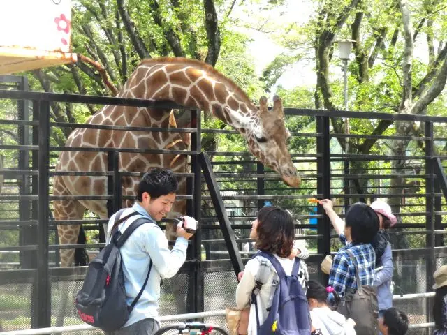 以親近「自然、動物和兒童」為主題的動物園