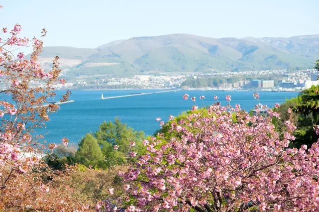 【超嚴選】北海道必看櫻花景點11選！附賞櫻花期預測