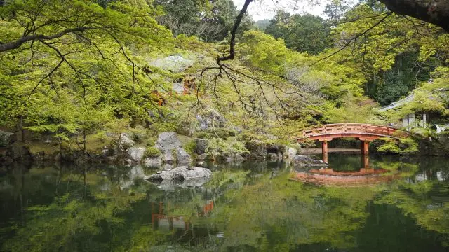 美麗的日式庭園也是不可錯過的看點之一