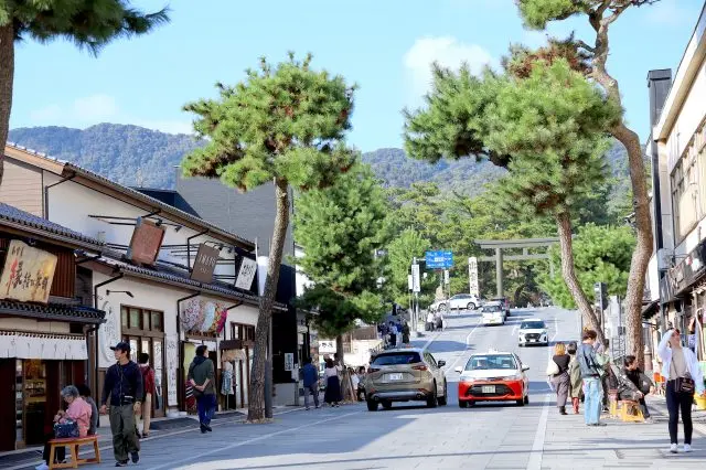 Shinmon Dori leads to Izumo Taisha, flanked by a splendid pine tree-lined path.