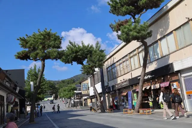 A smattering of different eateries and souvenir shops along the way. Don’t miss all the street eats and local delights just waiting for you to taste.