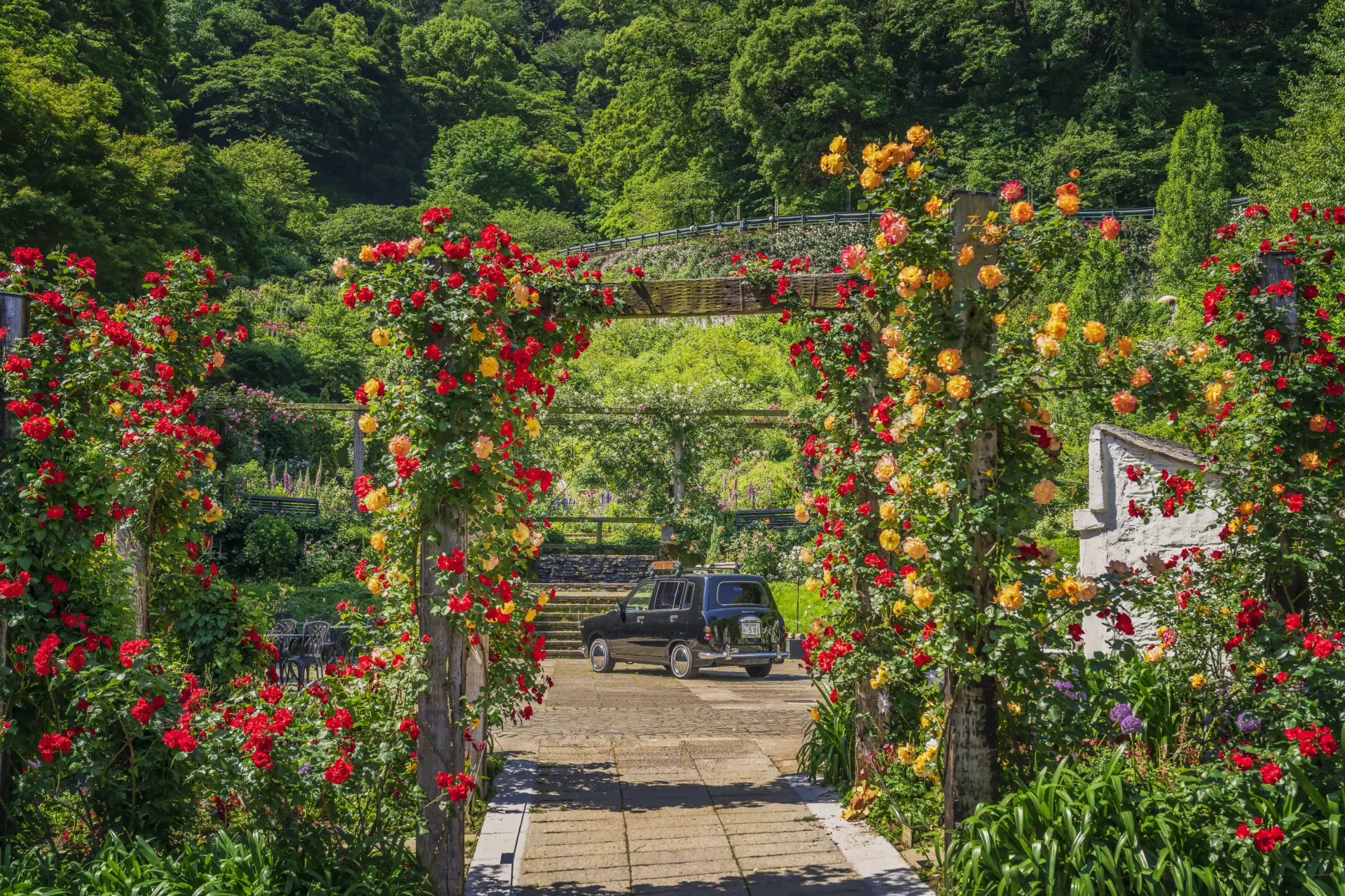 海を見下ろす丘陵地に四季折々の花が咲き誇る