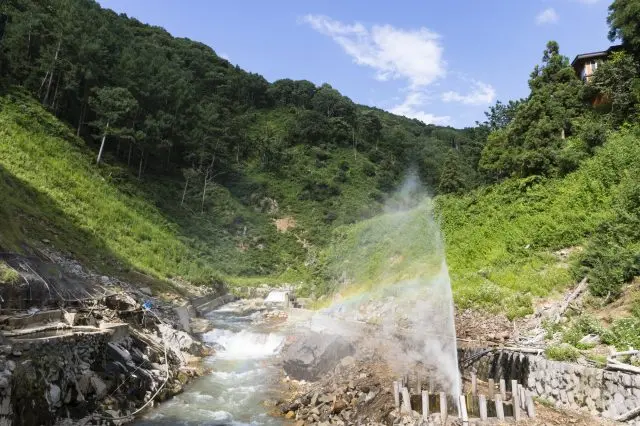 把目光投向猴子以外的动植物，更别有一番乐趣