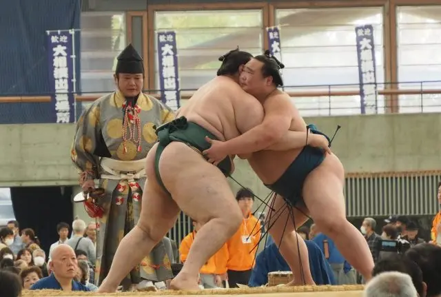 Venture to Izumo, the Birthplace of Sumo, and See a Grand Sumo Tournament!