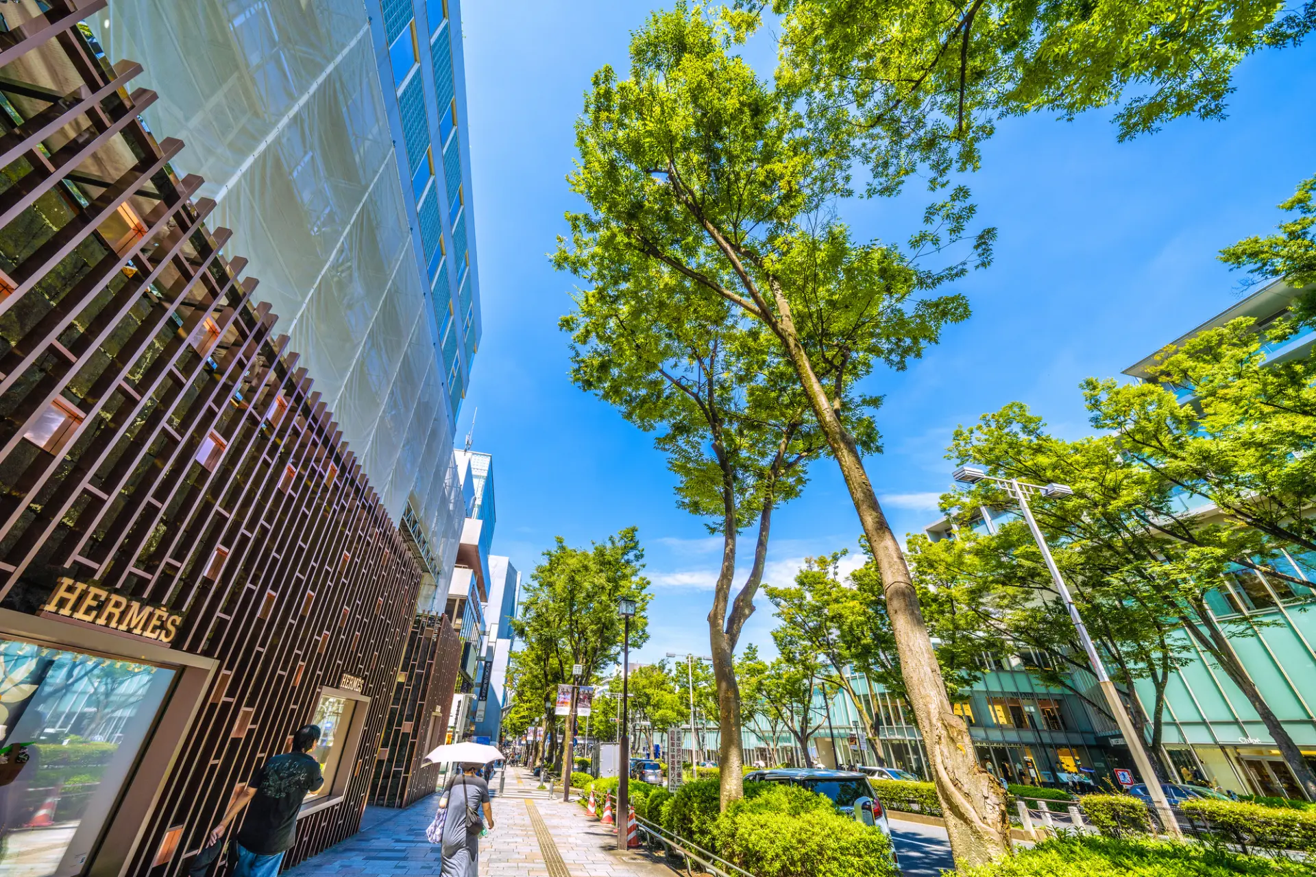 高級ブランドショップが立ち並ぶ青山