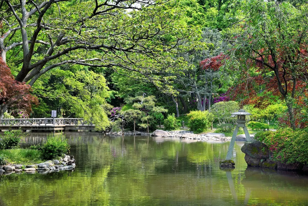 坐落於東京都心住宅街中的綠洲